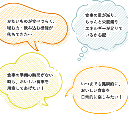 かたいものが食べづらく、噛む力・飲み込む機能が落ちてきた…｜食事の量が減り、ちゃんと栄養素やエネルギーが足りているか心配…｜いつまでも健康的に、おいしい食事を日常的に楽しみたい！｜食事の準備の時間がない時も、おいしい食事を用意してあげたい！